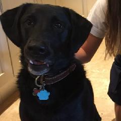 Gabriela Maury de van Es