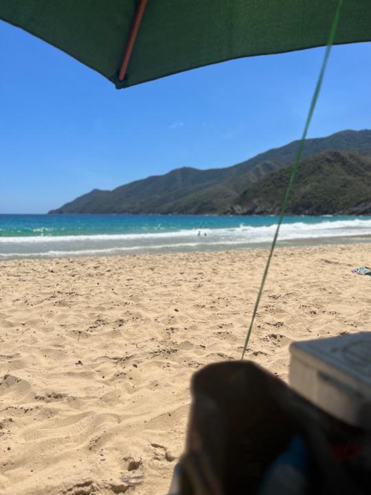 Antonieta Constantino