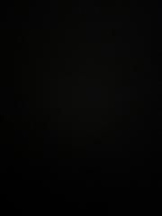 Andrea Mlodzianowski