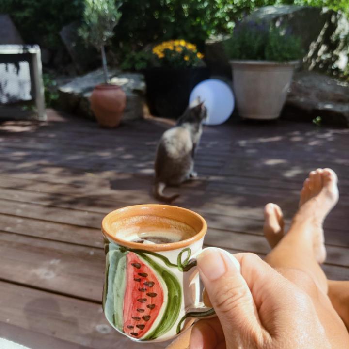 Silje Anett Rosenvinge