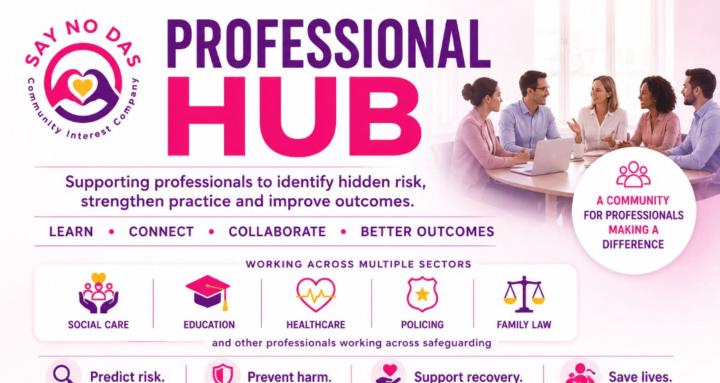 Say No Das Professional Hub