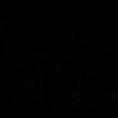 Syeda zainab Binte shariq