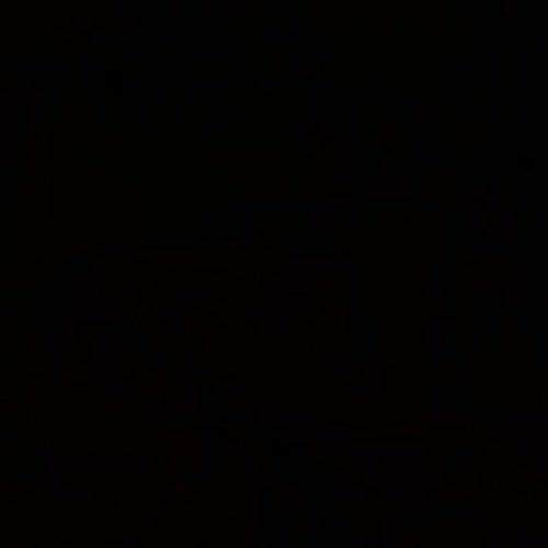 Syeda zainab Binte shariq