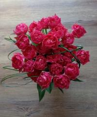 Dominika Garbulińska