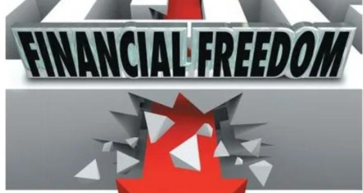 Financial Freedom Hunter