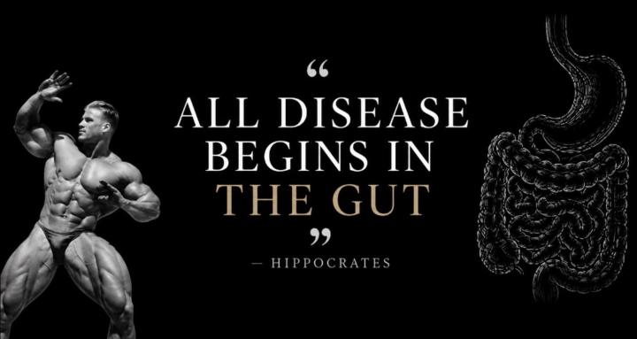 The Anabolic Gut Protocol