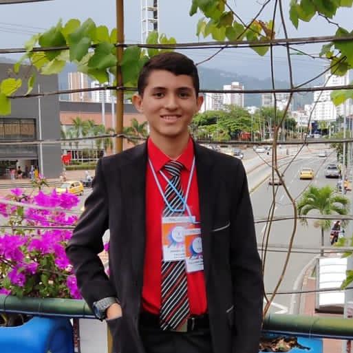 Andrés Julián Pallares carrillo