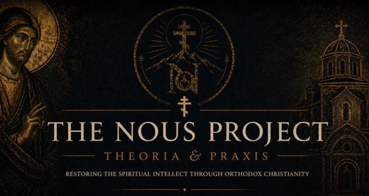 The Nous Project