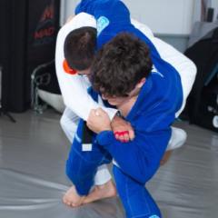 Nico Fernandez