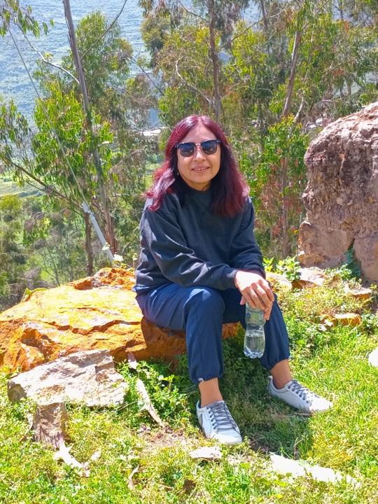 Carol Bustamante torres