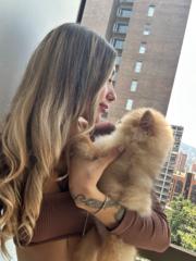 Flor Stefanelli
