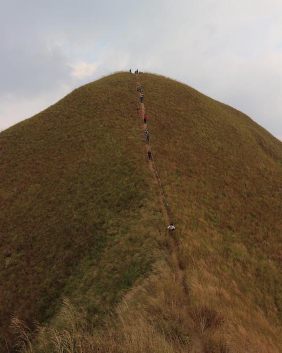 Napat Nitiwattananon