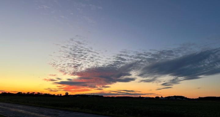 Financial Freedom Circle