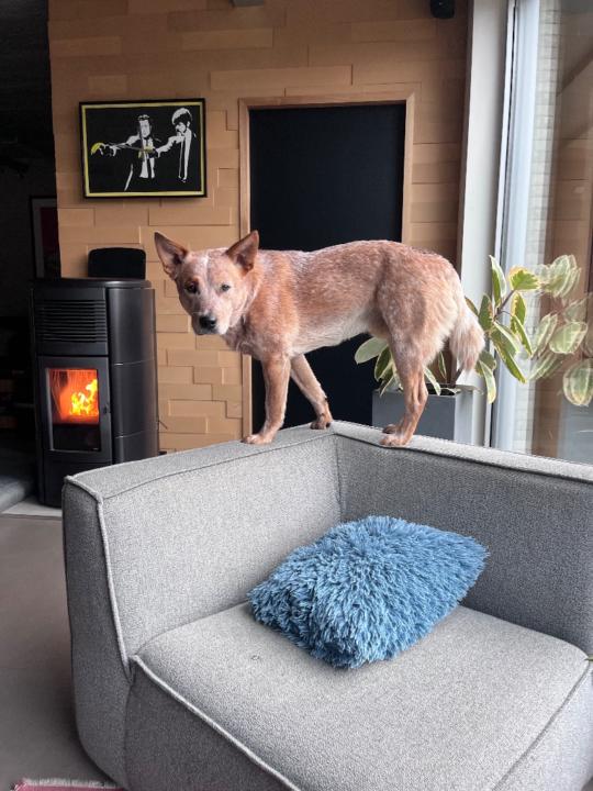 Nathalie Vandervoort