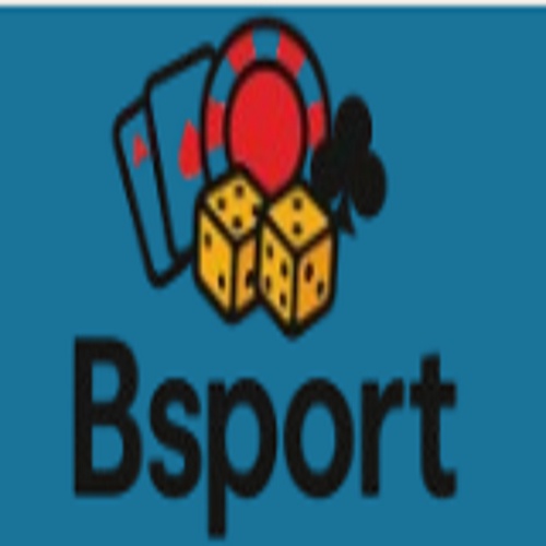Bsport Cam