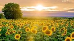 Alejandro García López