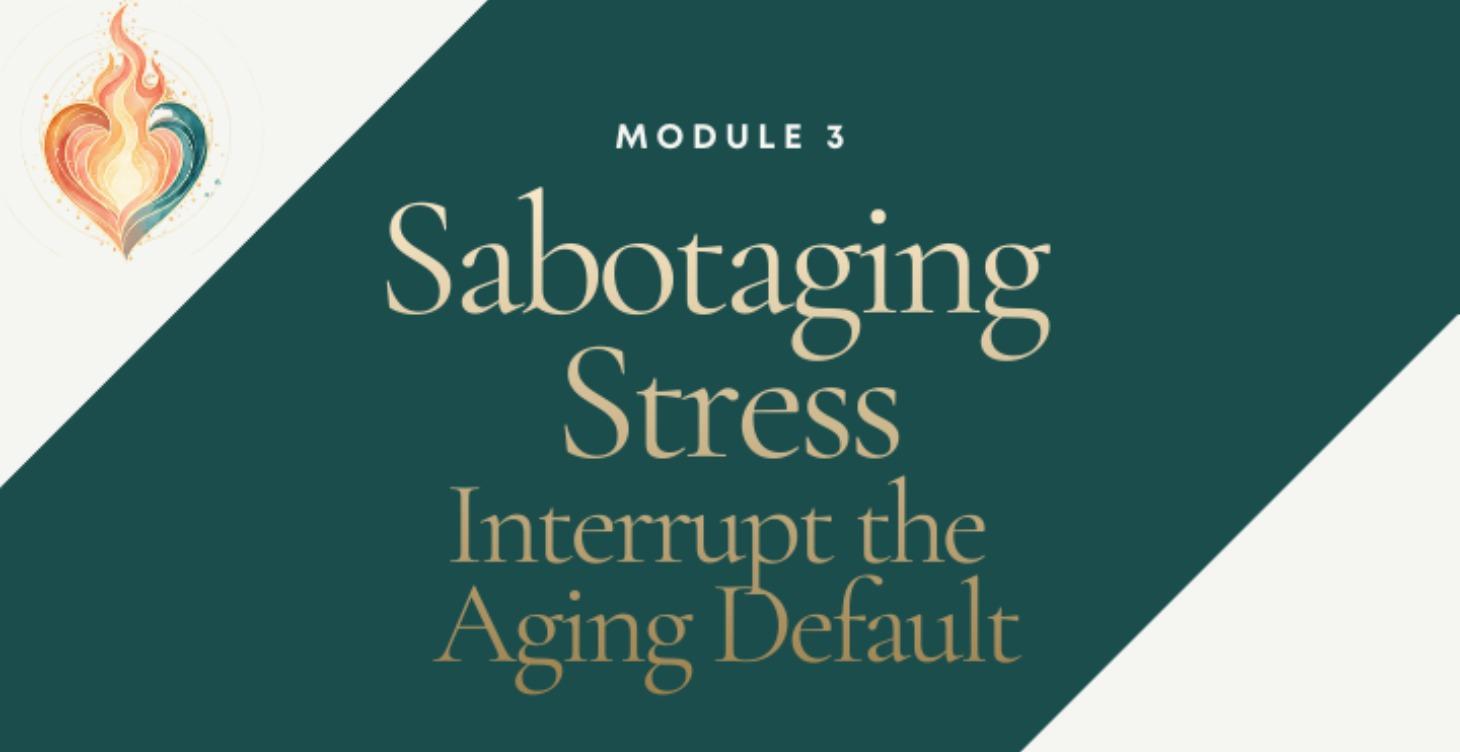 Sabotaging Stress: Interrupt the Aging Default