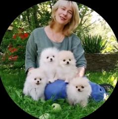 Lorraine Wilkins