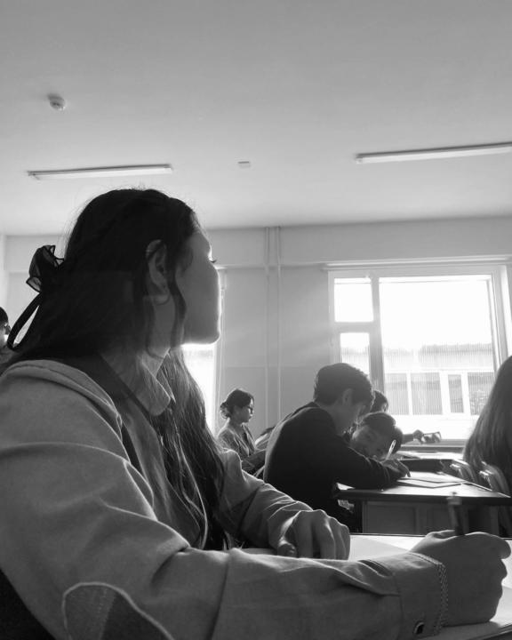 Танилцуулга