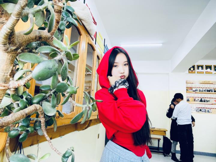 танилцуулга