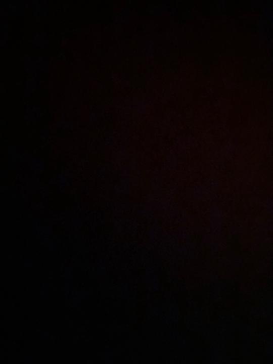 Maximilian Schweizer