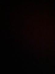 Maximilian Schweizer