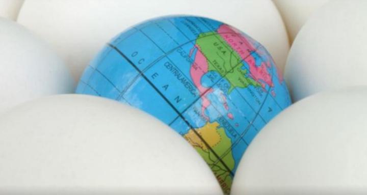 Health Is Wealth Youniversity