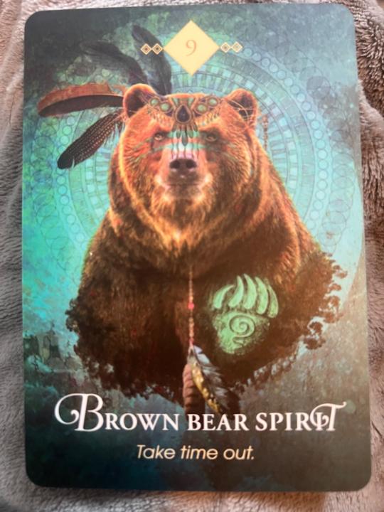 Austin Brother Bear