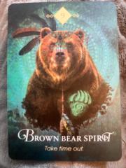 Austin Brother Bear