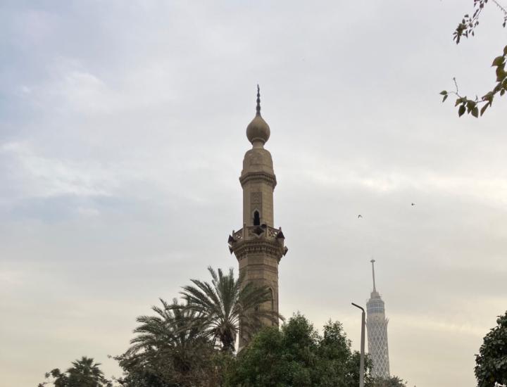 Alaa Fouli
