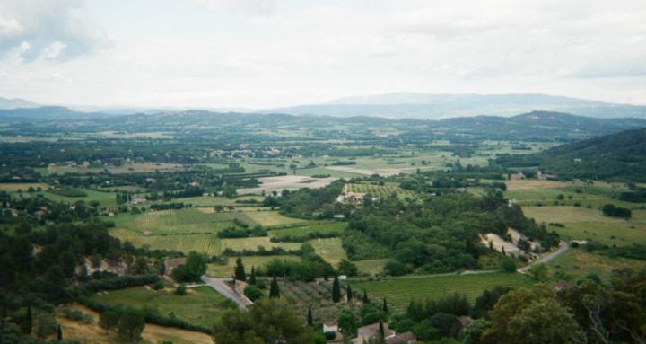 GRNDD holistic health