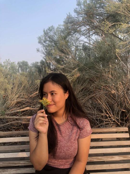 Nu Bawi