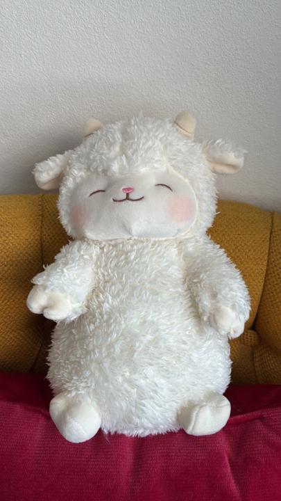 Iliana Interian Martínez