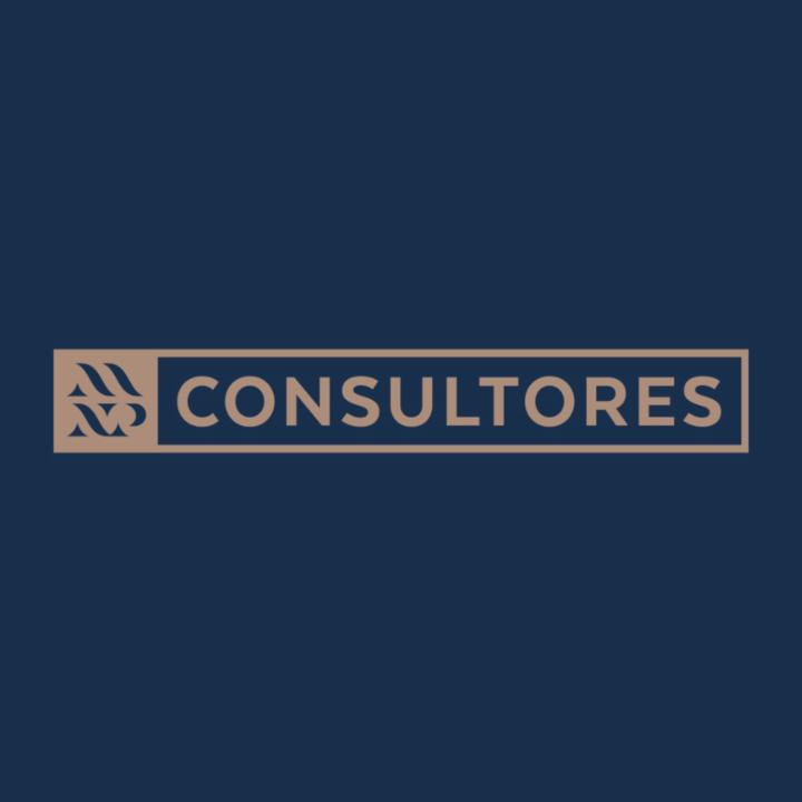 Mnp Consultores