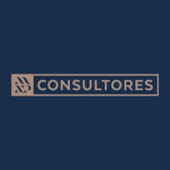 Mnp Consultores