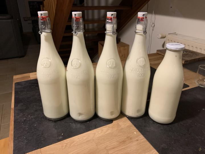 Retour de chez le fermier du coin 