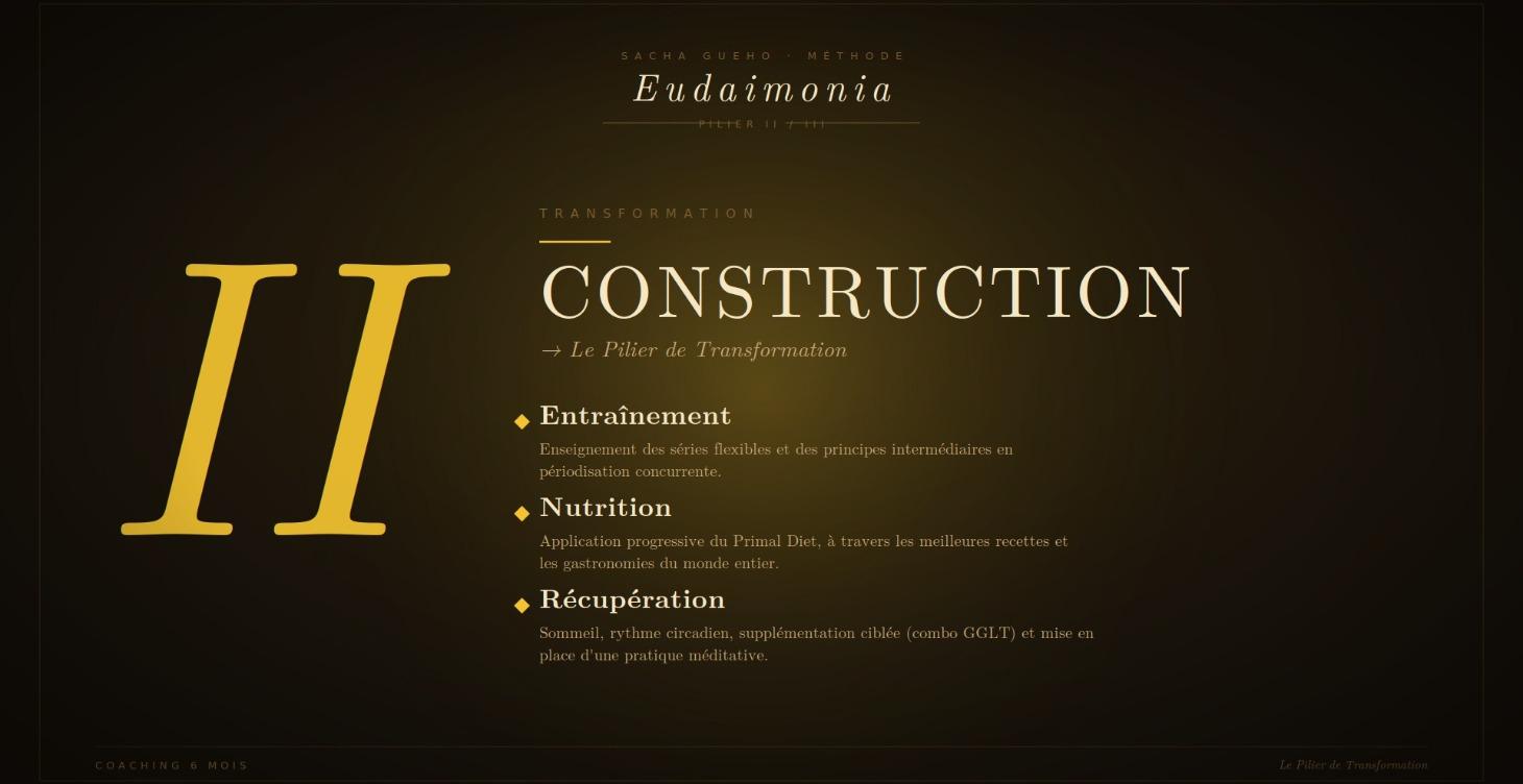 EUDAIMONIA - CONSTRUCTION