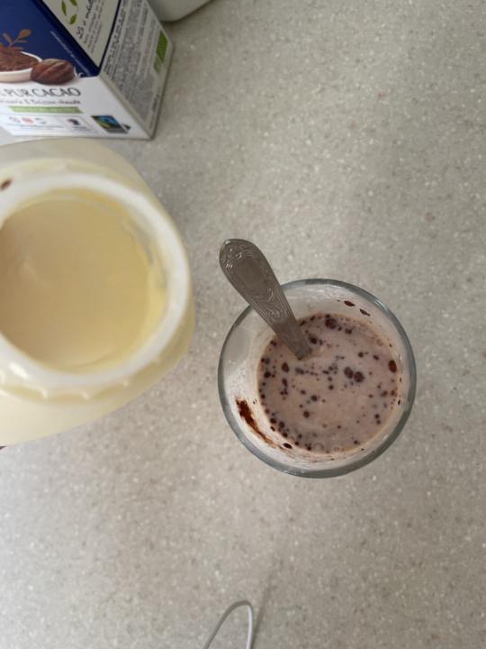 Fermented raw milk 