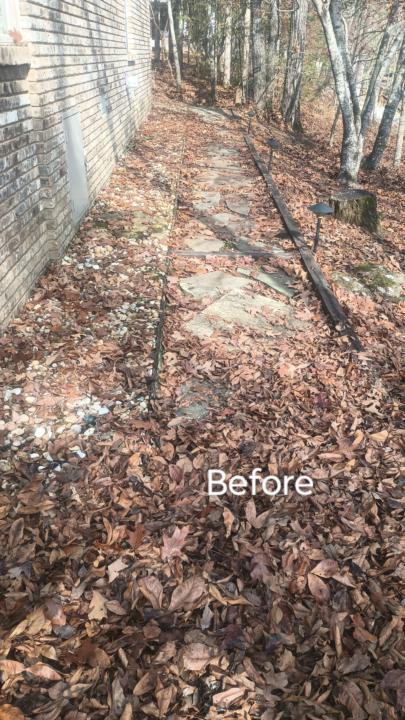 Leaf Clean up 