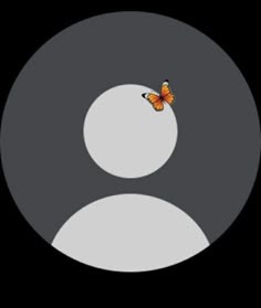 Lidia Valiente Blasco