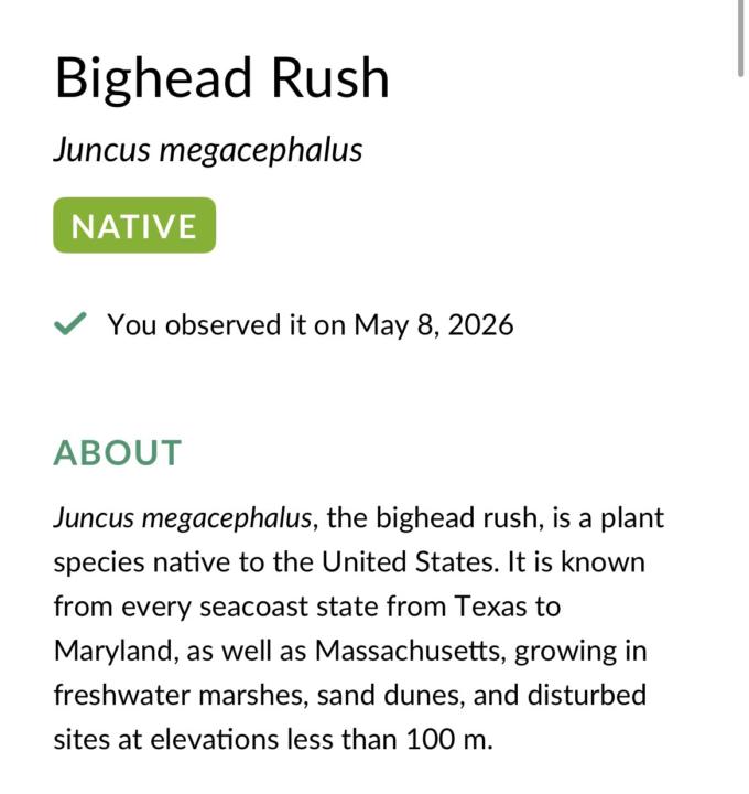 Big Head Rush & friend