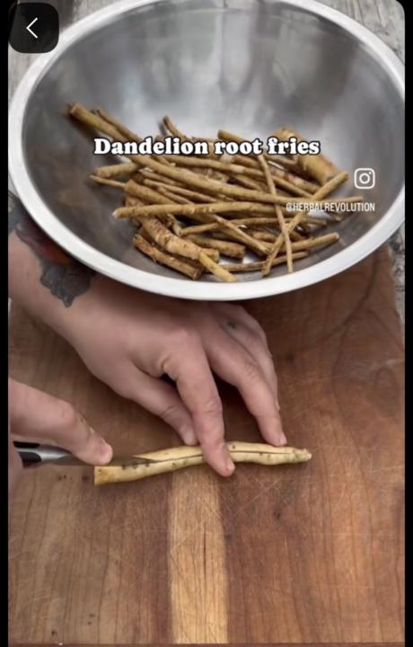 Dandelion root fries