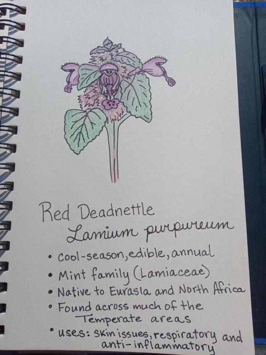 Friday the 13th 🌼 Journal 