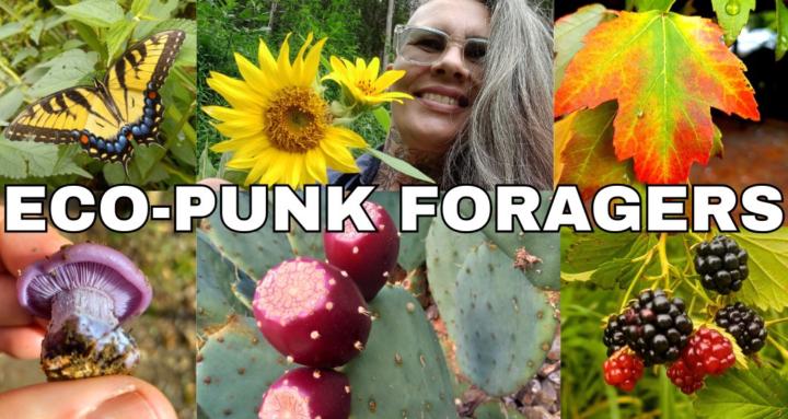 Eco-Punk Foragers Community