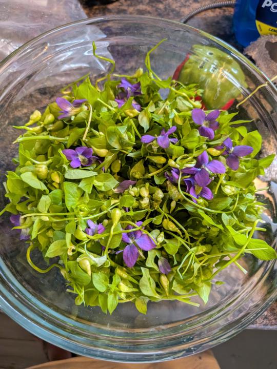 Tried some new greens this year!