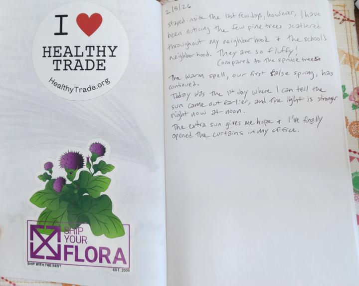 Foraging journal entry 2/5/26