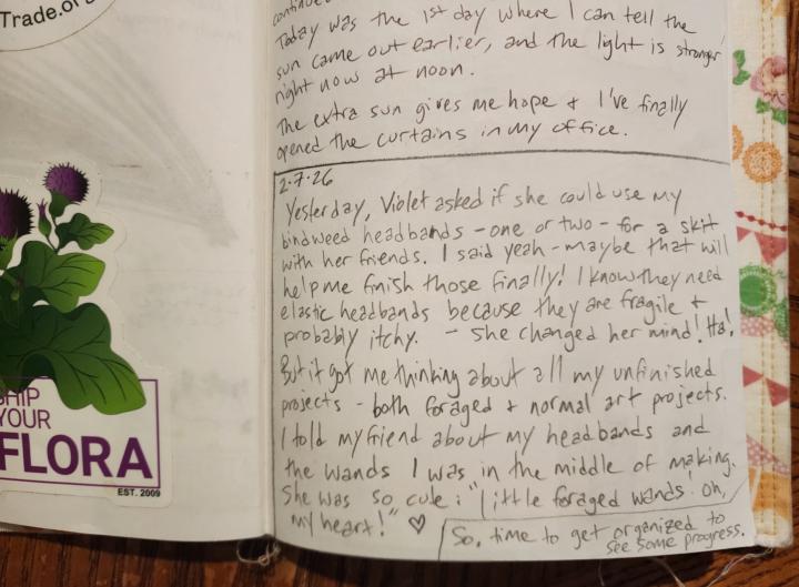 Foraging journal entry 2/7/26