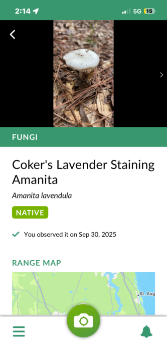 ID Apps make mistakes 