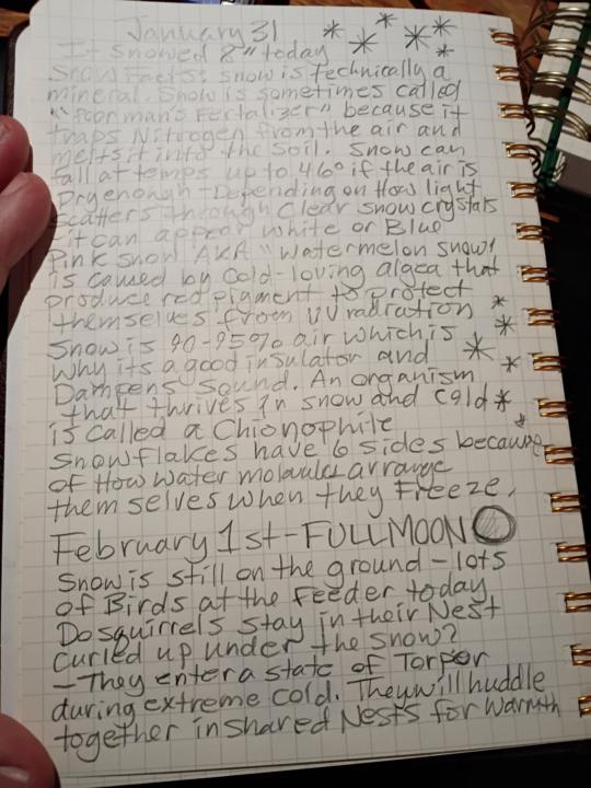 Foraging journal Entry 2/1/26