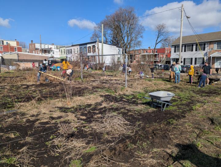 Community garden set up